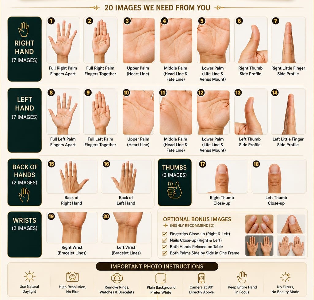 Sample For Palm Images